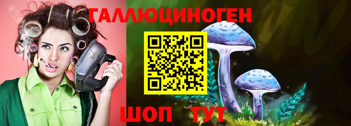 Псилоцибиновые грибы GOLDEN TEACHER  Вход с VPN  Псилоцибиновые грибы мицелий  Ялта 